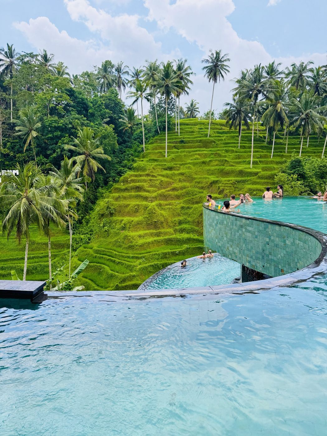 Infinity pool above the rice terraces in Ubud, Bali