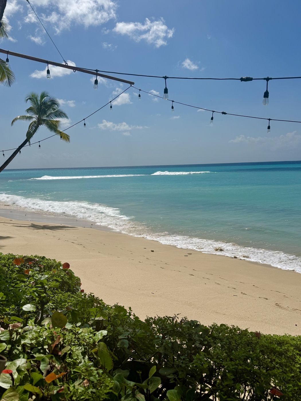 Caribbean beach under string lights