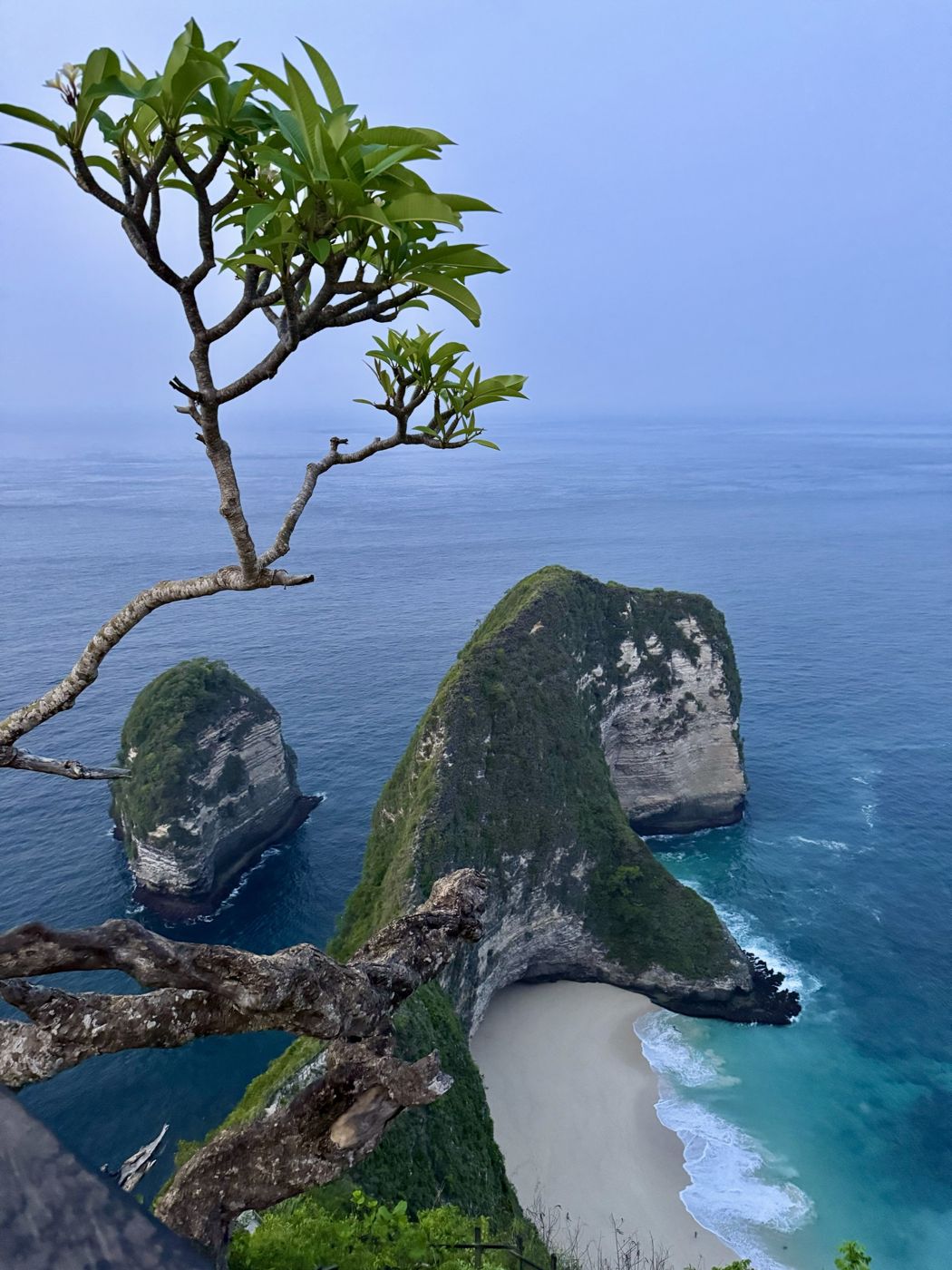 Kelingking Beach cliffs on Nusa Penida